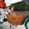 Programme Sportif Maison : Exercices et Programmes pour Tous les Niveaux