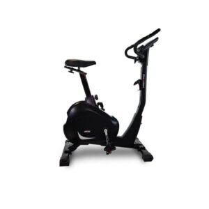 Vélo d'appartement BH Artic Dual