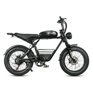 Vélo électrique SAMEBIKE M20 1000W